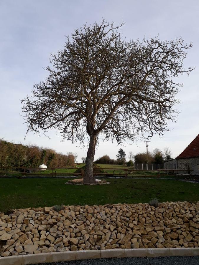 Gite " Le Vieux Noyer" Liesville-sur-Douve Экстерьер фото